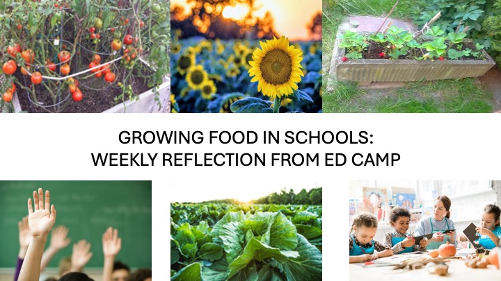 ED Camp Reflection